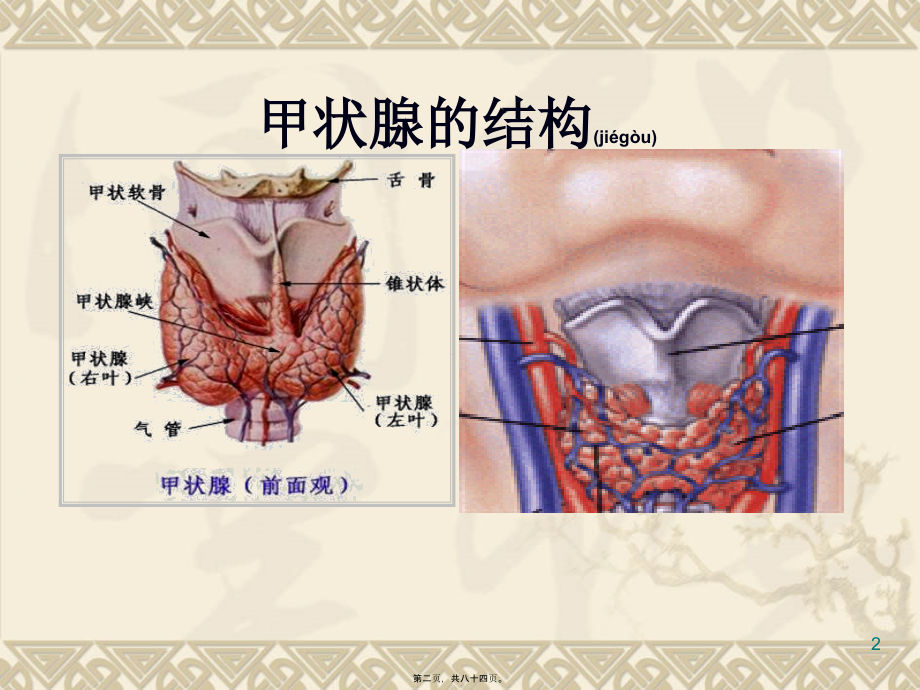 2022年医学专题—第四节甲状腺功能亢进症(已改)李秋平.ppt_第2页