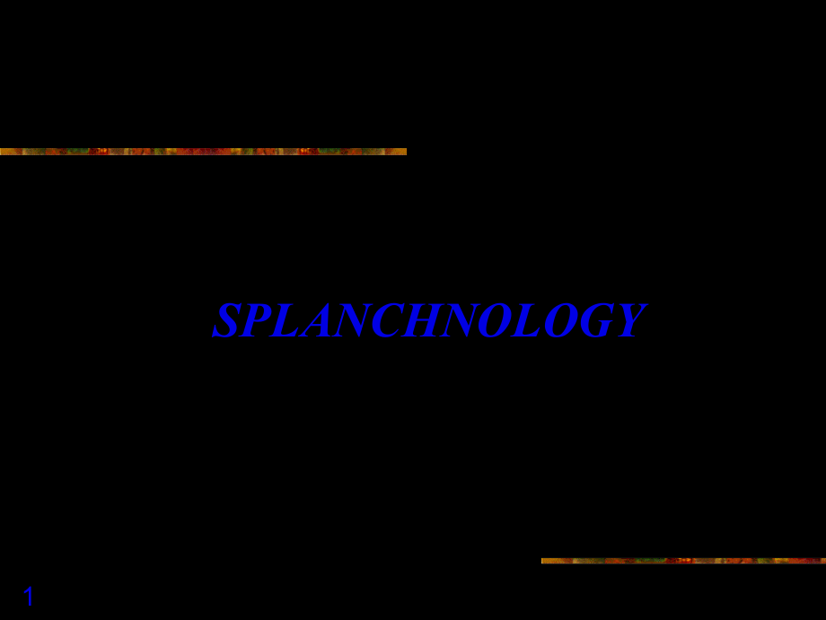 2022年医学专题—消化系统2013ppt.ppt_第1页