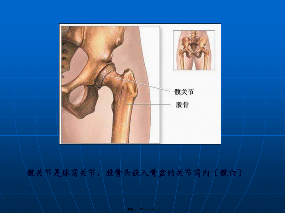 全髋关节置换术后康复训练修订版摘要.pptx_第3页