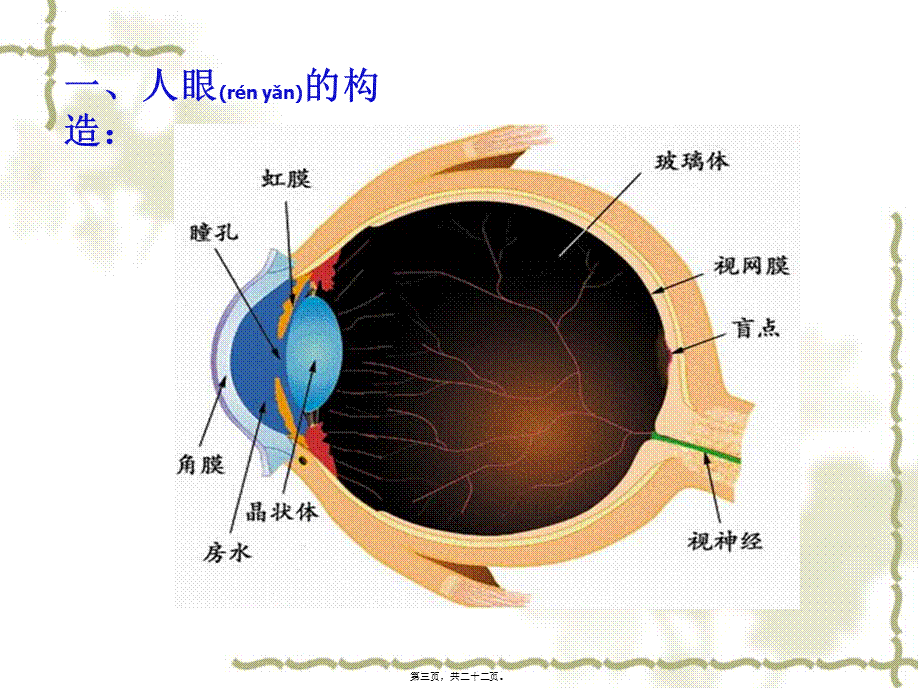 2022年医学专题—.6：眼睛与视力矫正(1).ppt_第3页