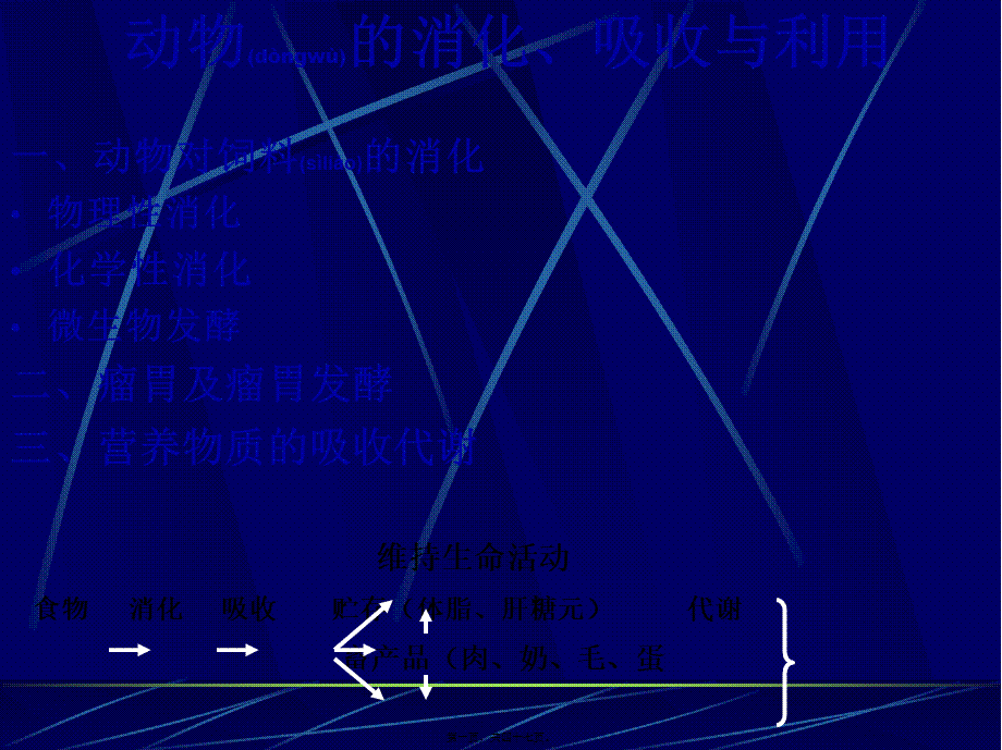 2022年医学专题—动物的消化、吸收和利用.ppt_第1页