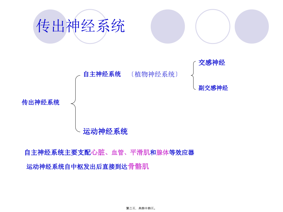 传出神经系统药理-图文.pptx_第2页