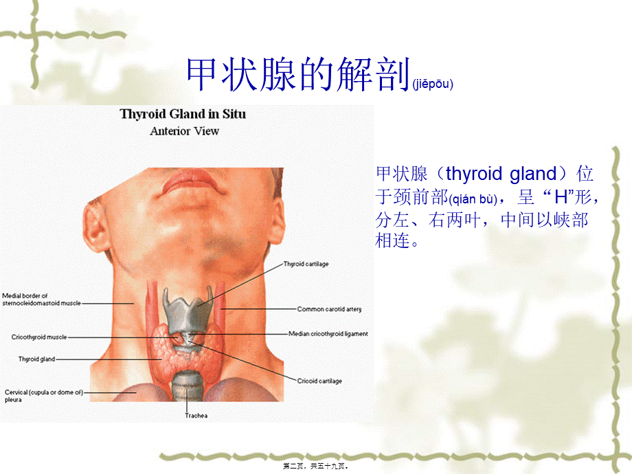 2022年医学专题—甲状腺病变的影像学表现.pptx_第2页