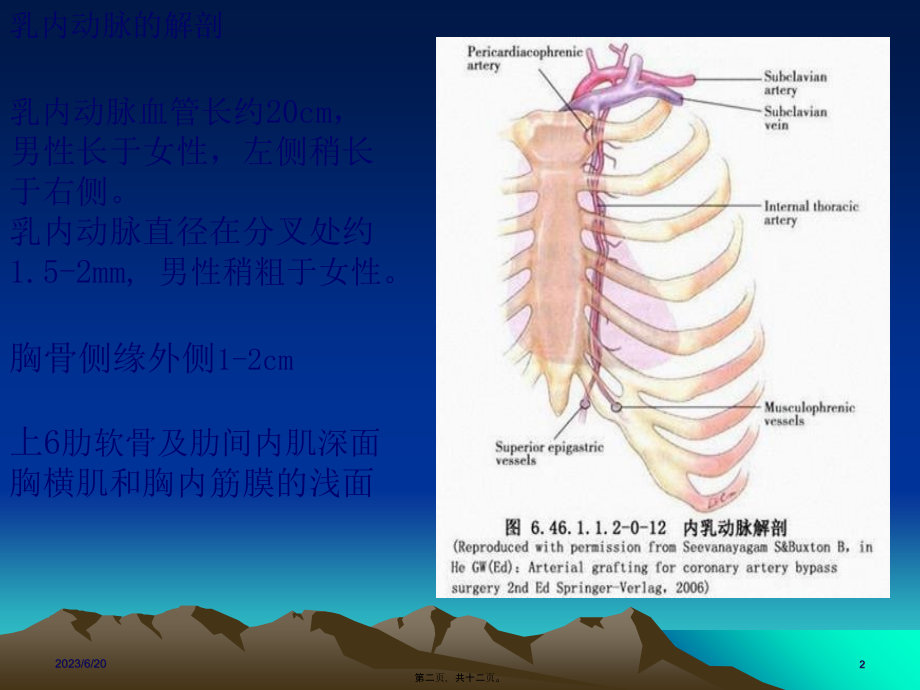 如何获取乳内动脉.pptx_第2页