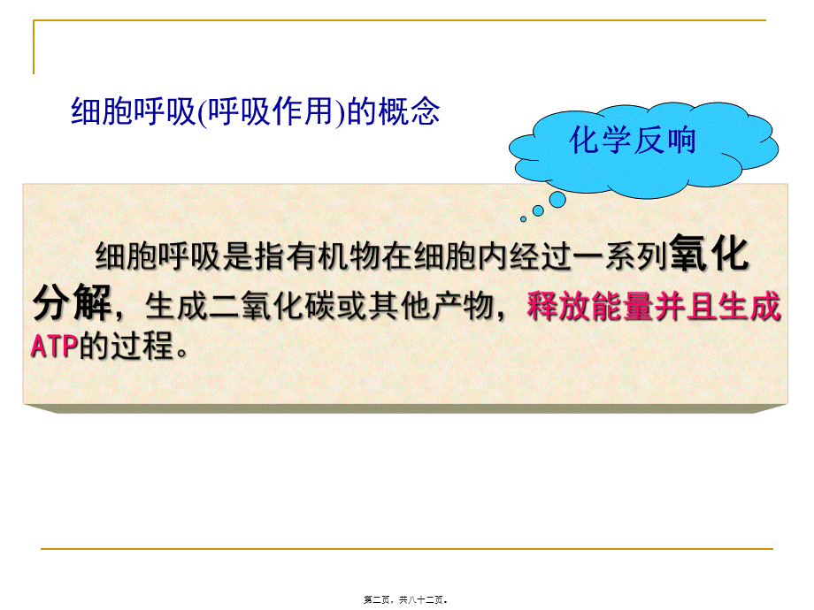 学考复习细胞呼吸与光合作用.pptx_第2页