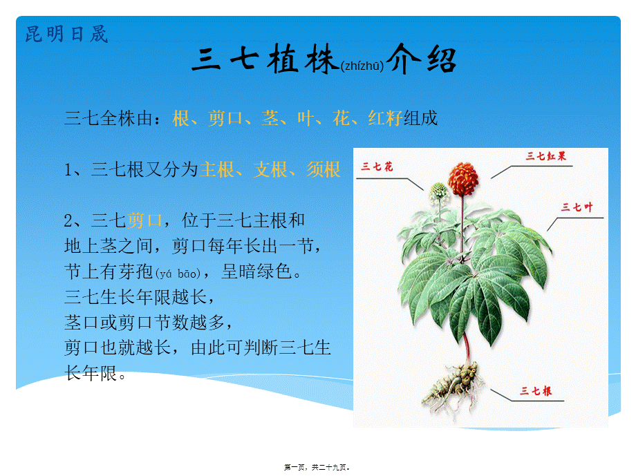 2022年医学专题—三七常见病害及综合防治(1).pptx_第1页