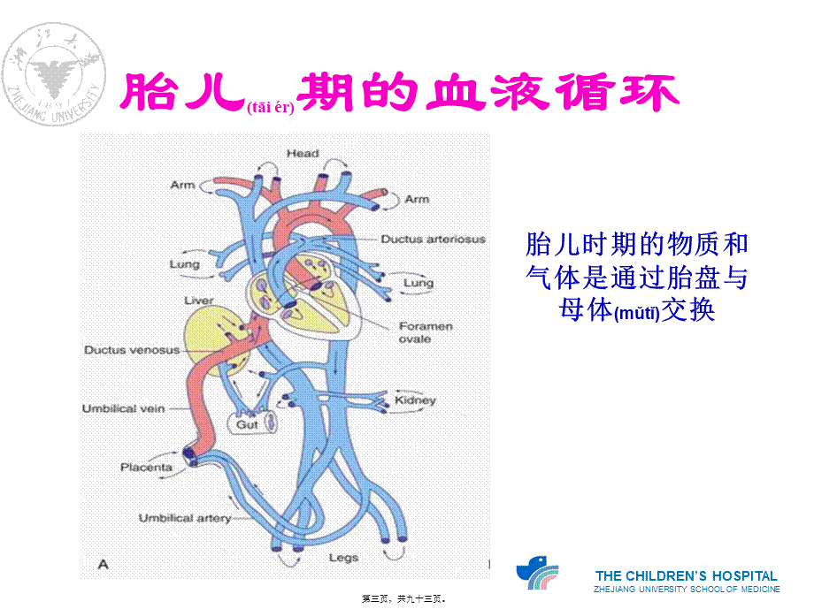 2022年医学专题—心血管的胚胎发育及血液循环.ppt_第3页