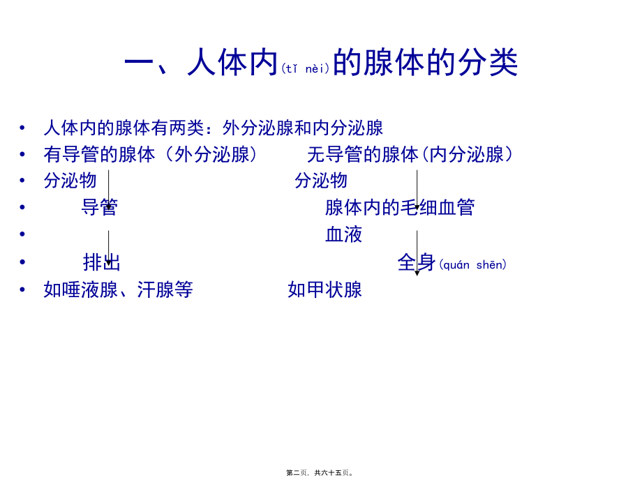 2022年医学专题—第七章--内分泌系统.ppt_第2页