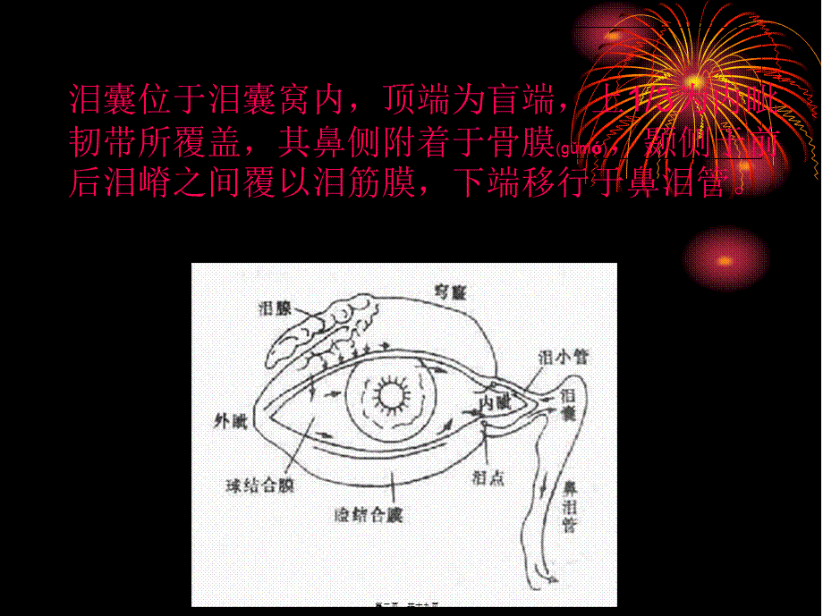 2022年医学专题—慢性泪囊炎(1).ppt_第2页