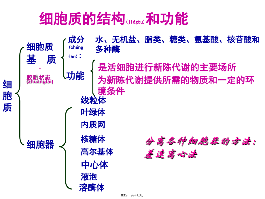 2022年医学专题—第三章第二节-细胞器—系统内的分工合作第1课时.ppt_第3页