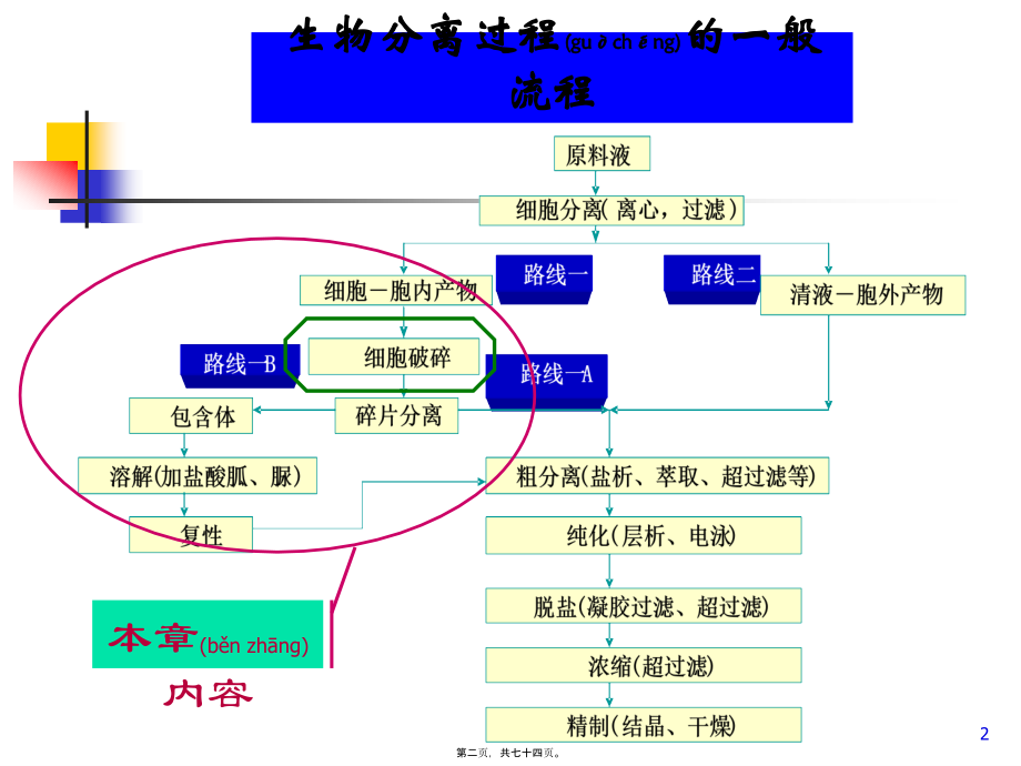 2022年医学专题—第三章细胞破碎..ppt_第2页