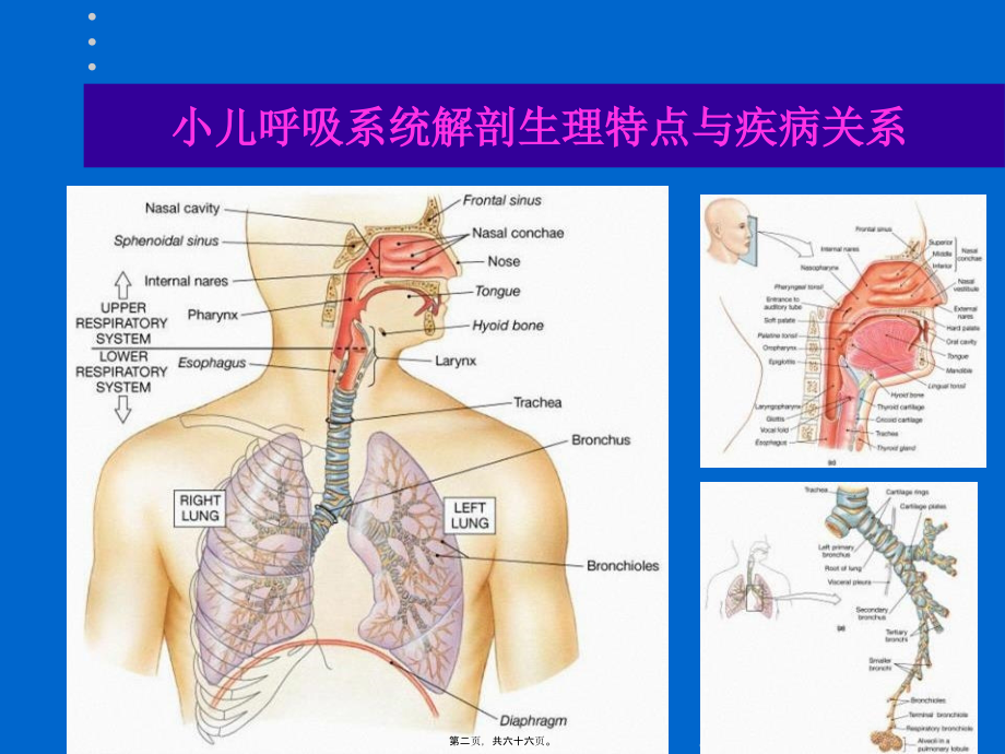 咳嗽诊疗新观点.pptx_第2页