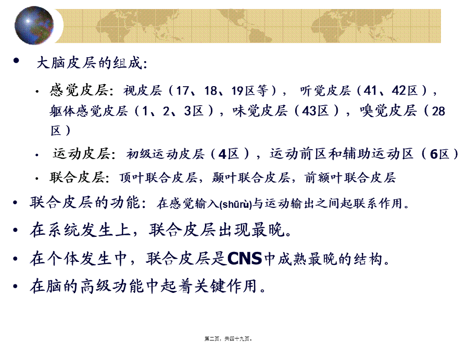 2022年医学专题—第八讲-大脑联合皮层和功能一侧化(1).ppt_第2页