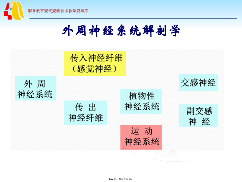 外周神经系统用药wk..pptx_第2页