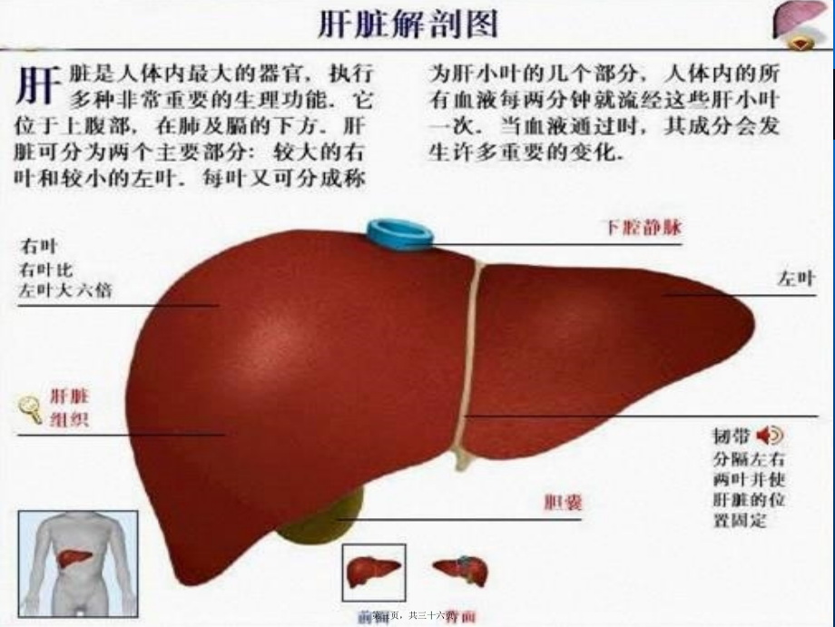 2022年医学专题—肝硬化基础知识-云南最好的肝病医院讲诉.ppt_第3页