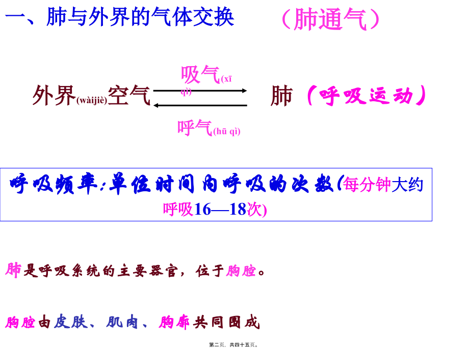 2022年医学专题—第二节-发生在肺内的气体交换(完成)(1).ppt_第2页