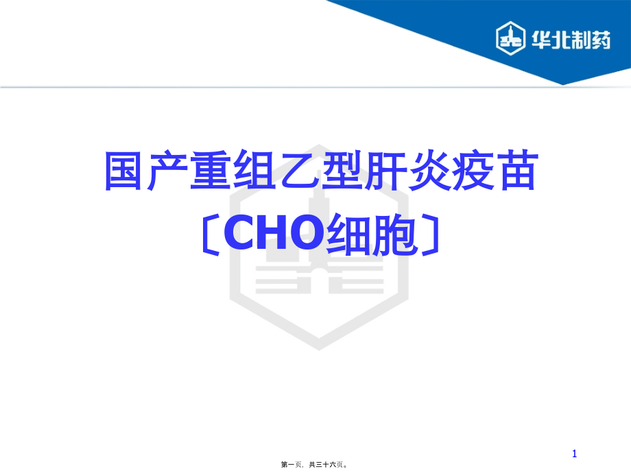 国产重组乙型肝炎疫苗(CHO细胞).pptx_第1页