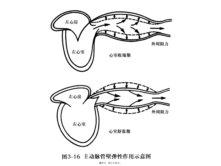 2022年医学专题—第三章-第二节-血管的生理.ppt_第3页