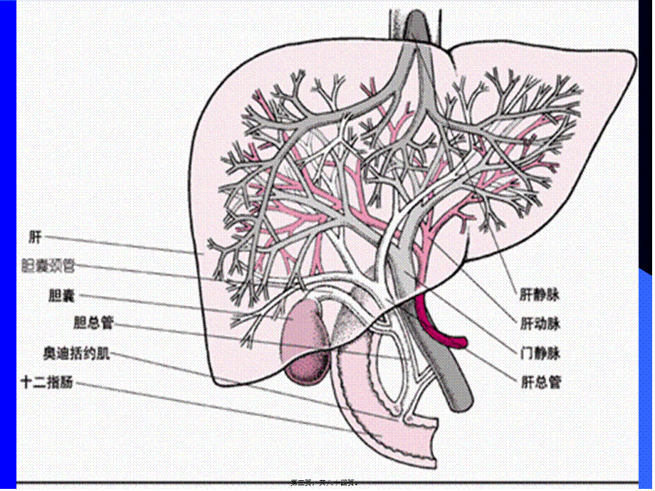 2022年医学专题—胆囊穿孔(1).ppt_第3页