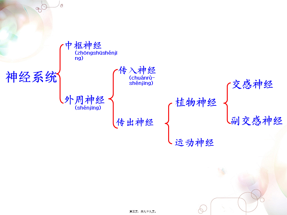 2022年医学专题—六拟胆碱药与抗胆碱药制剂.ppt_第3页