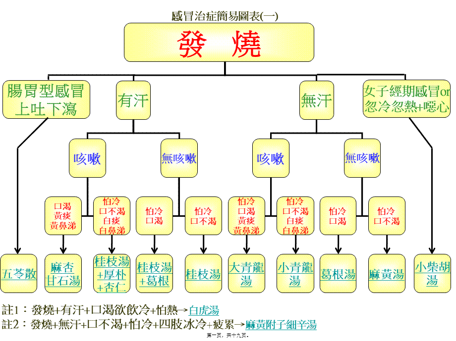 南加州倪师弟子张孟超医师之感冒治症简易图表(修订版)概述.pptx_第1页