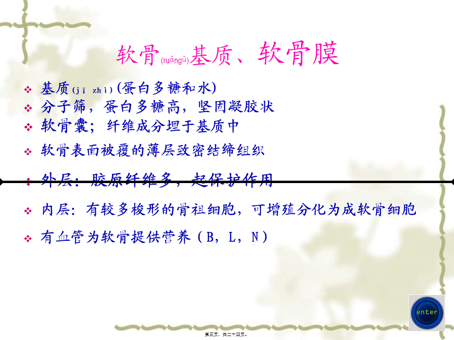 2022年医学专题—【组织学与胚胎学】软骨与骨(1).ppt_第3页