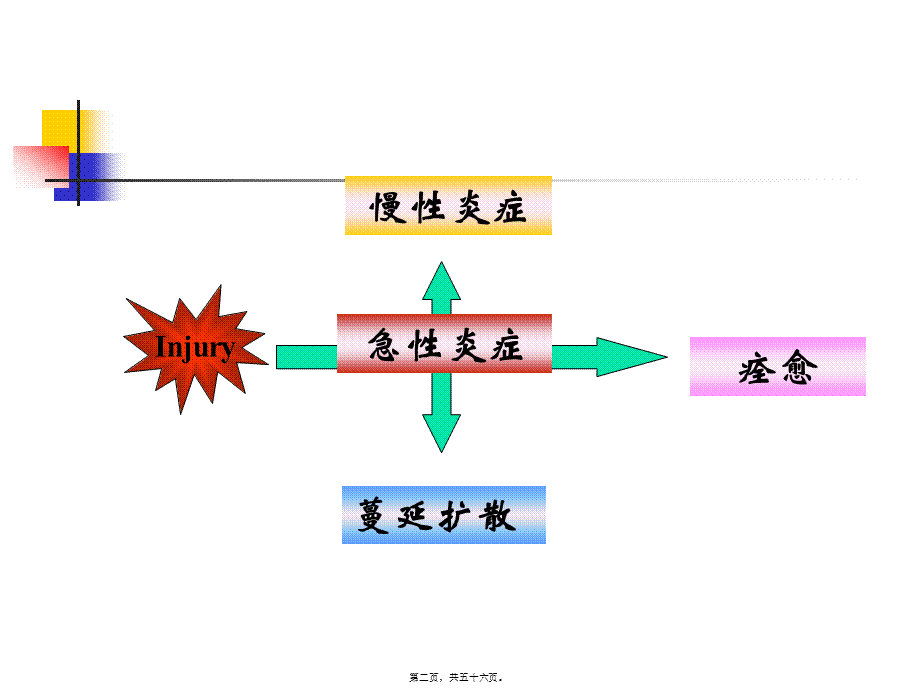 2022年医学专题—人卫第三版第十五章第三节全身炎症反应综合征与多器官.ppt_第2页