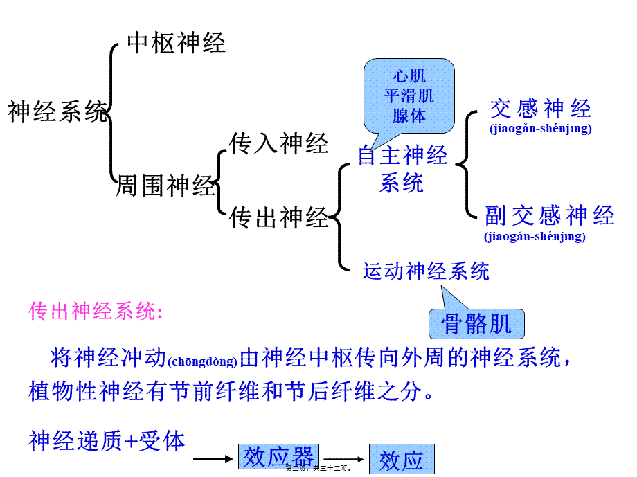 2022年医学专题—传出神经系统药理概论(1).ppt_第2页