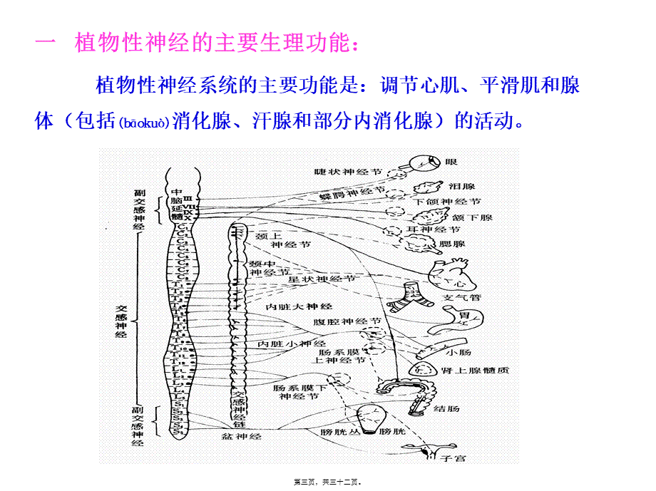 2022年医学专题—传出神经系统药理概论(1).ppt_第3页