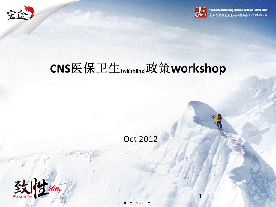 2022年医学专题—CNS医保卫生政策workshop20120913(1).pptx_第1页