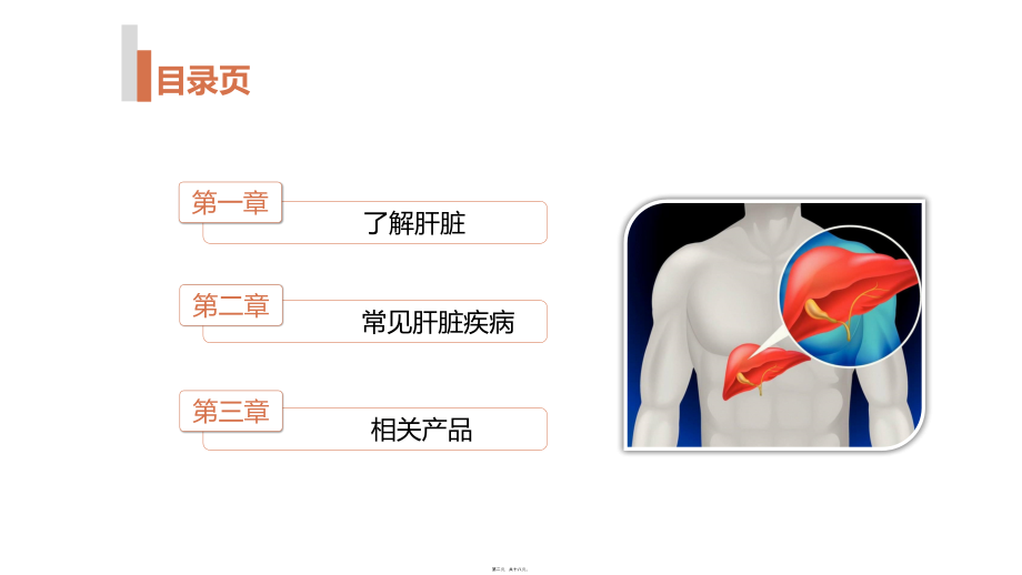 2022年医学专题—脂肪肝-肝囊肿.pptx_第2页