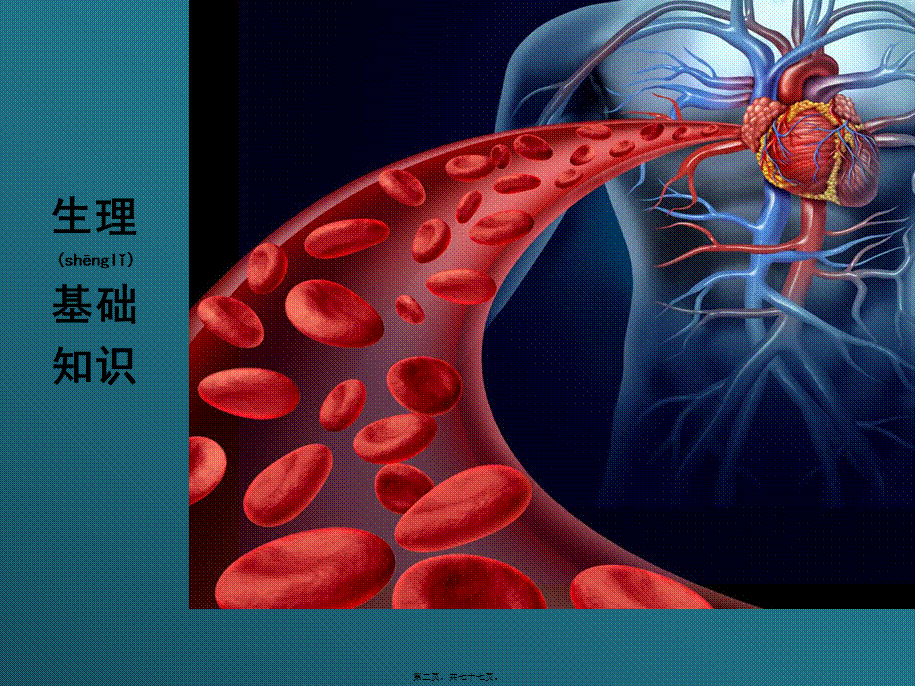 2022年医学专题—心血管系统基础知识(1).pptx_第2页