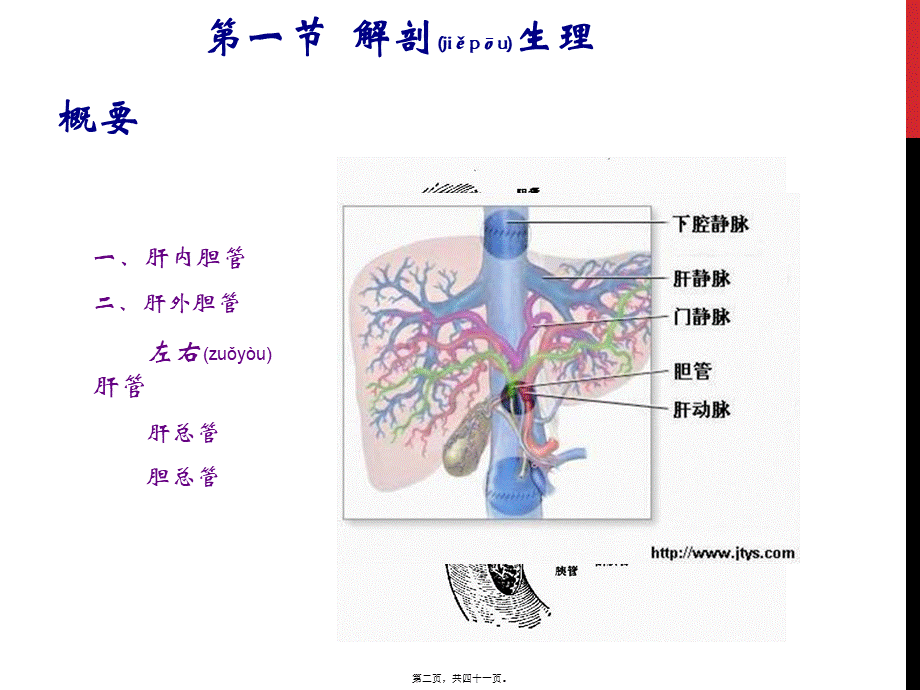 2022年医学专题—胆囊结石胆囊炎(1).ppt_第2页