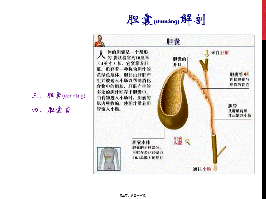 2022年医学专题—胆囊结石胆囊炎(1).ppt_第3页