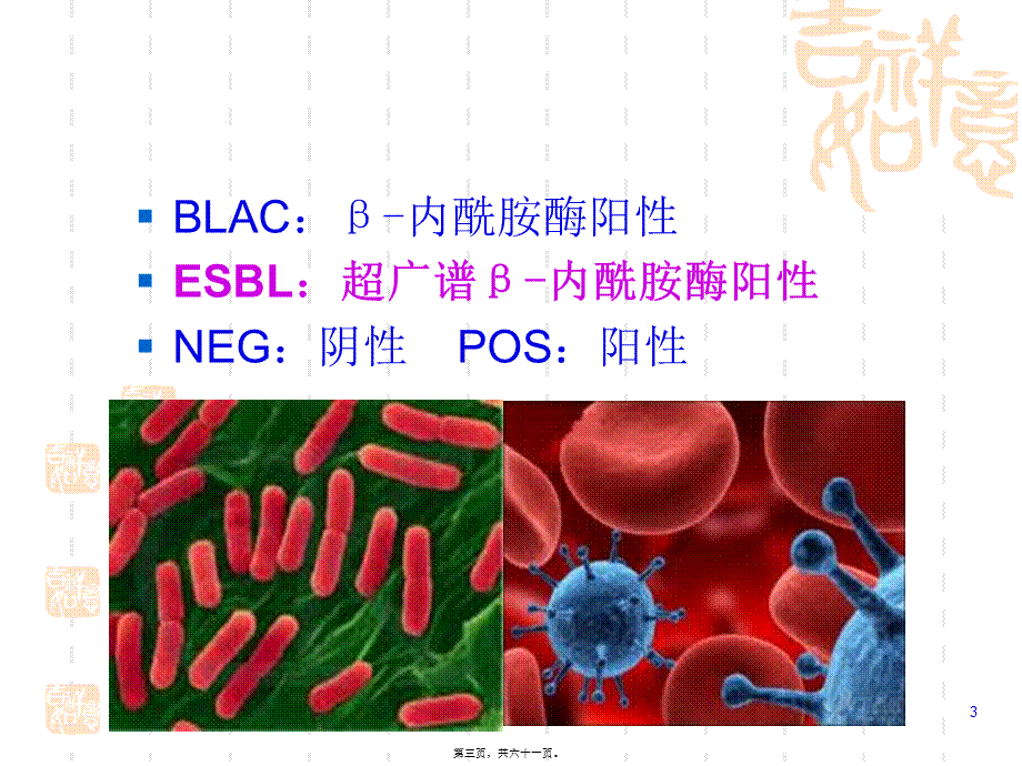 多重耐药菌监测与防控.pptx_第3页