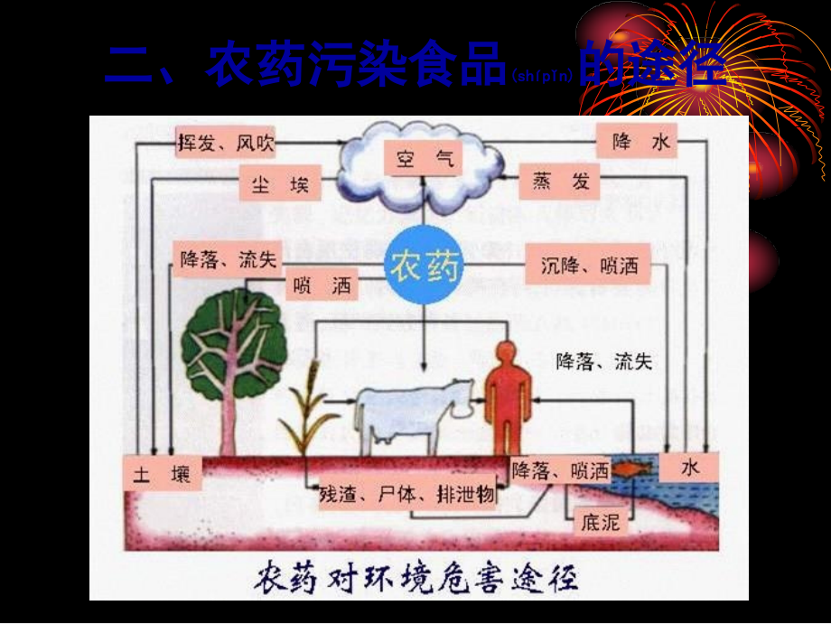 2022年医学专题—第三章-农药、兽药.ppt_第3页