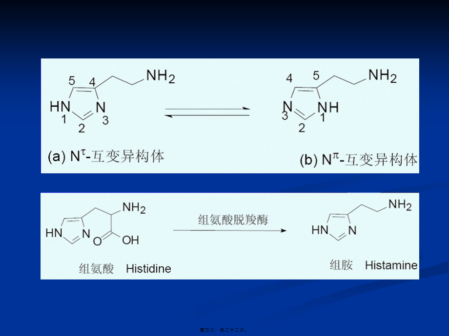 2022年医学专题—第9章-抗过敏药(1).ppt_第3页