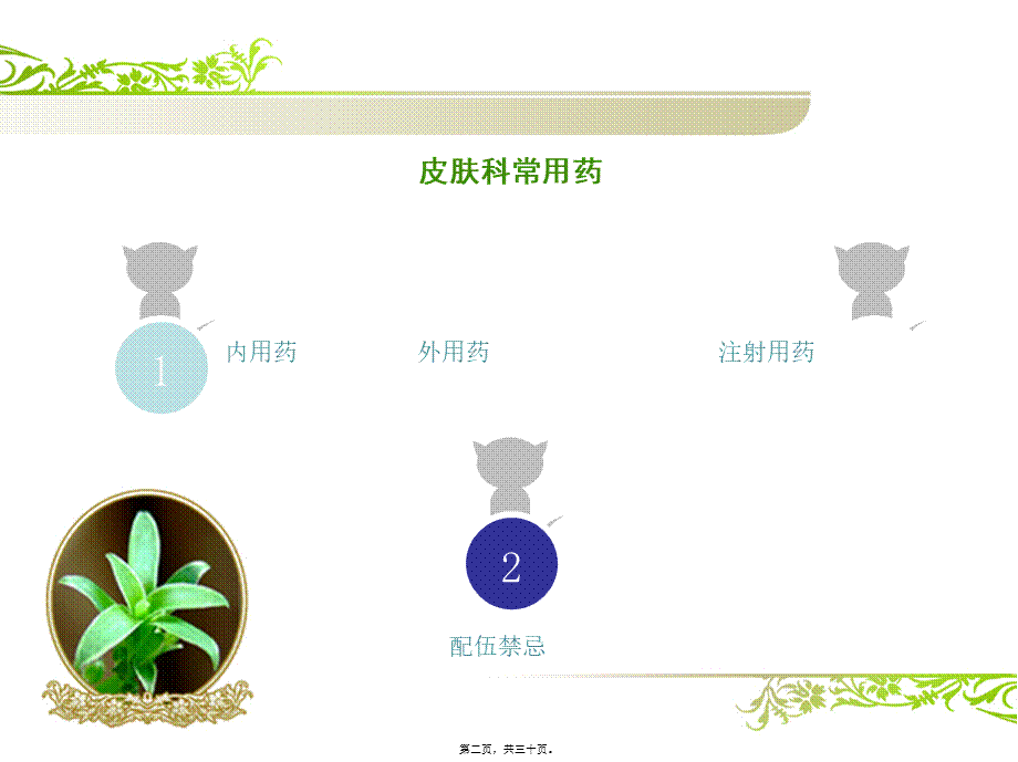 2022年医学专题—皮肤科常用药(1).ppt_第2页