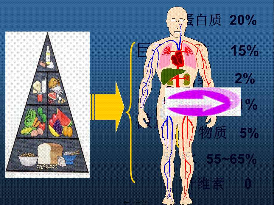 七大营养素-营养.ppt_第2页