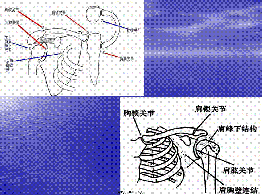 2022年医学专题—偏瘫患者的常见肩.ppt_第3页