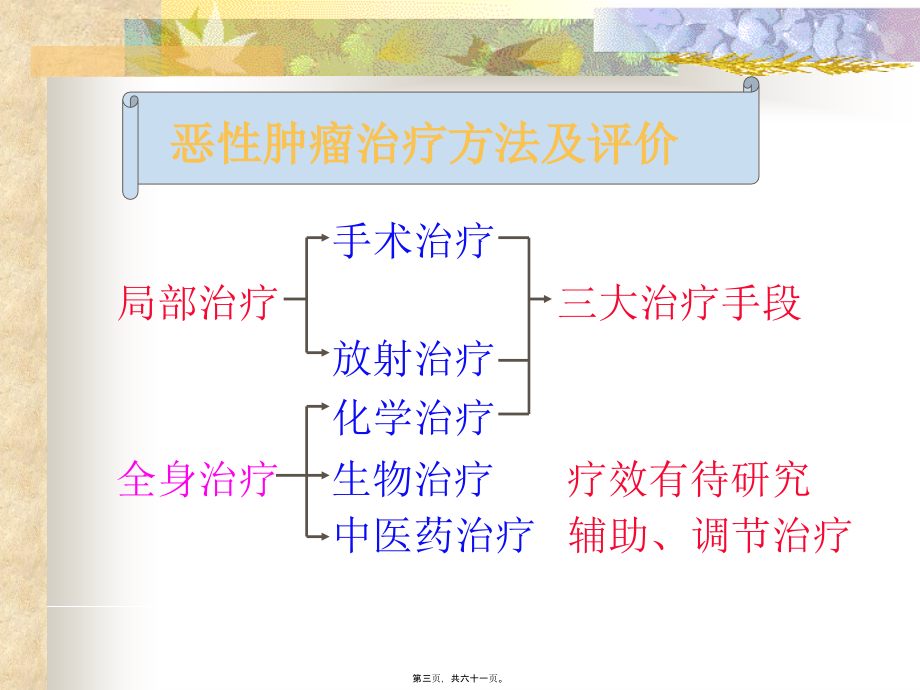 化疗的副作用防治.pptx_第3页