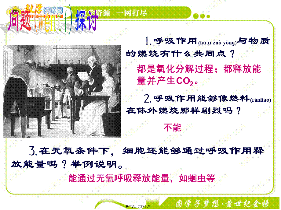 2022年医学专题—回顾：1、细胞呼吸的概念2、细胞呼吸的方式？及产物？(1).ppt_第3页