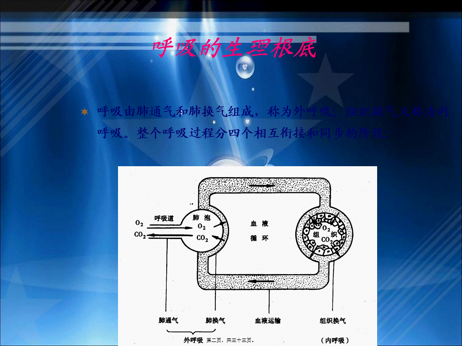 呼吸功能训练-(1).pptx_第2页