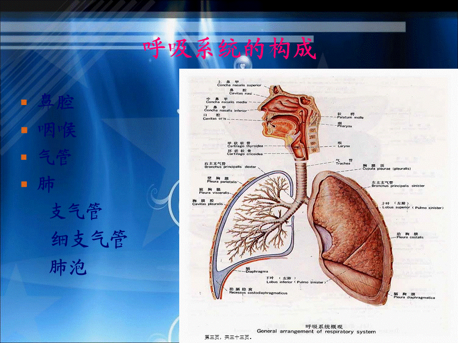 呼吸功能训练-(1).pptx_第3页