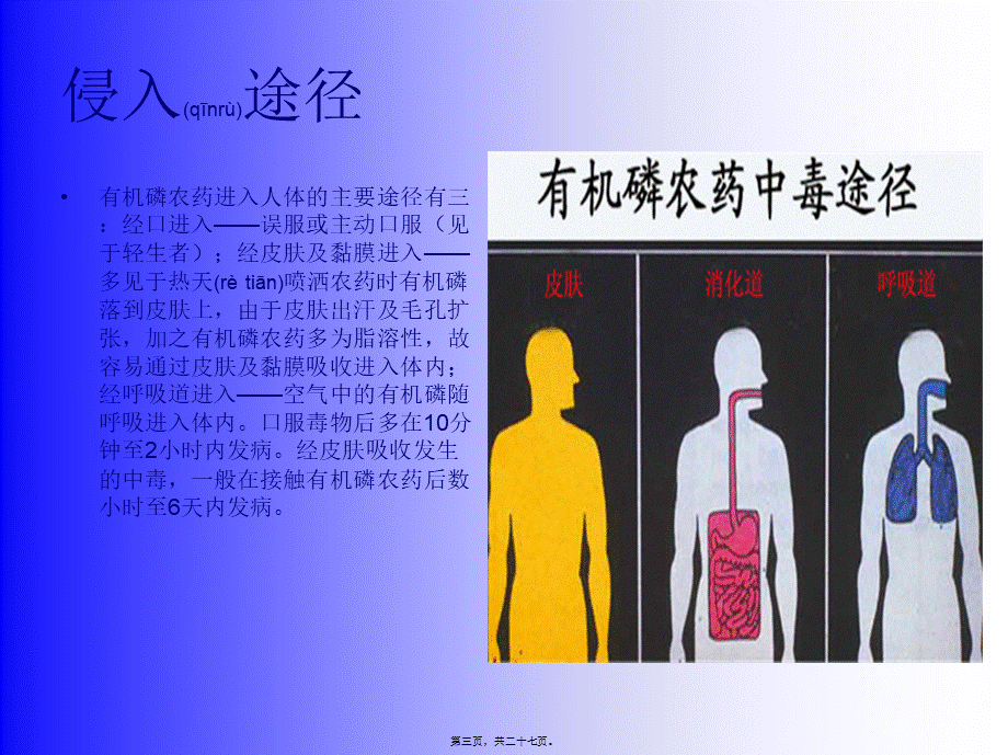 2022年医学专题—有机磷农药中毒分析(1).ppt_第3页