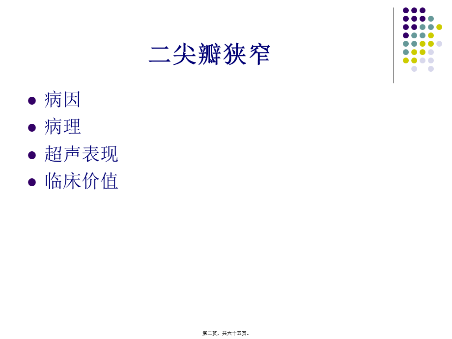 后天获得性心脏病瓣膜病.pptx_第2页