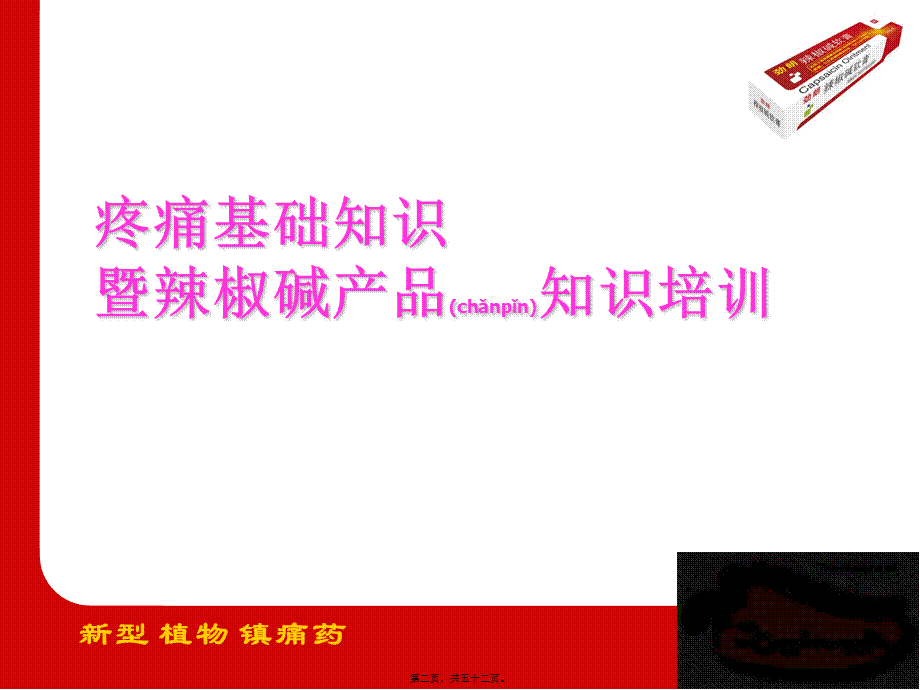 2022年医学专题—NSAIDs副作用抗炎镇痛作用生理保护功能内毒素-长春普华制药(1).ppt_第2页