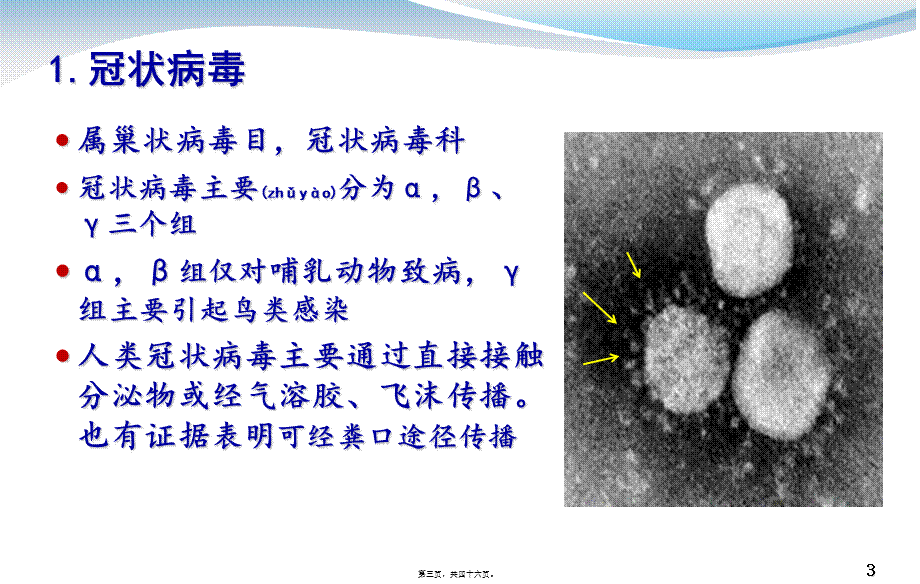 2022年医学专题—中东呼吸综合征疫情形势及防控措施(1).ppt_第3页