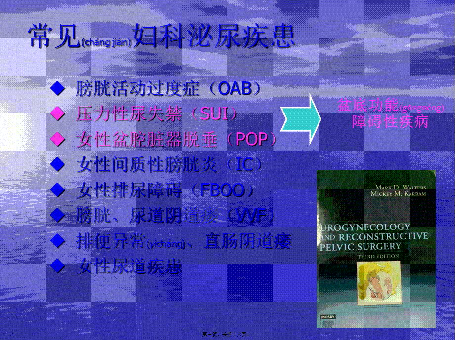 2022年医学专题—盆底外科相关问题(1).pptx_第3页