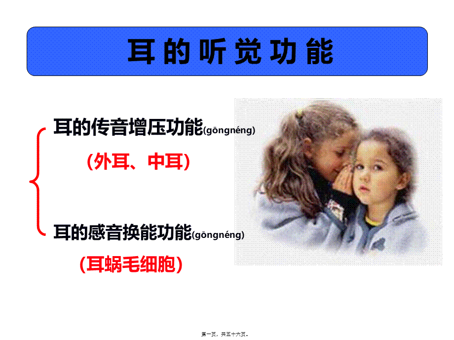 2022年医学专题—耳的听觉功能.ppt_第1页